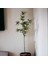 Dekoratif Yapay Bambu Dal 160 cm 1 Adet 3