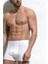 Boxer 1405 1