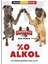Tavuklu Köpek Birası Cam Şişe 250 ml 2