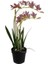P282.356477 Pembe Yapay Vanda Orkide 61CM 1