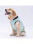 Mint Sunrise Büyük Köpek Tişörtü - Köpek Kıyafeti (15 Kg-45 Kg) 2