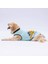 Mint Sunrise Büyük Köpek Tişörtü - Köpek Kıyafeti (15 Kg-45 Kg) 3