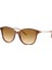 EA4220 61103B 54 Unisex Güneş Gözlüğü 1