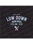 Low Down Hard Polo Arka Cam Hologram Sticker 1