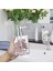 Şeffaf Stil 320ML Banyo Şampuan Dispenseri Tezgah Üstü Sabun Losyon Dispenser Şişesi Doldurulabilir El Yıkama Kabı Akrilik Banyo Aksesuarları (Yurt Dışından) 4