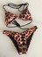 Leopar Desenli Askıları Ayarlanabilir Üst Kısmı Taş Detaylı Push Up Etkili Bikini Takımı 2li Set 3