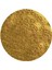 Pencap Garam Masala 100 gr 2