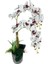 Yapay Çiçek 2li Benekli Bordo Islak Orkide Seramik Saksıda Orkide 60CM 1