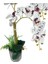 Yapay Çiçek 2li Benekli Bordo Islak Orkide Seramik Saksıda Orkide 60CM 2