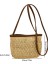Haki Kadın Crossbody Çanta Yaz Dokuma Kabuk Üst Saplı Çanta El Yapımı Moda Tatil Rahat Basit Zarif Bayan Hasır Çanta (Yurt Dışından) 1