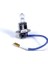 H3 Standart Halojen Oto Ampul 12V 55W 1
