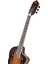 Rtpdlx-Aca Tourplayer Deluxe Acacia Burst Elektro Klasik Gitar 3