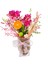 Bahar Dalı Mini Phalaenopsis Orkide & Cam Vazoda Zarif Ev Ofis Salon Bitkisi Canlı 1