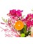 Bahar Dalı Mini Phalaenopsis Orkide & Cam Vazoda Zarif Ev Ofis Salon Bitkisi Canlı 2