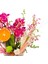 Bahar Dalı Mini Phalaenopsis Orkide & Cam Vazoda Zarif Ev Ofis Salon Bitkisi Canlı 3