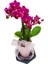 Çiçek Seli Pink Lovely Phalaenopsis Orkide & Mini Orkide Çiçeği Zarif Tasarım Hediye Anneye Sevgiliye 4