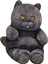British Shorthair Ş 30CM Doldurulmuş Kız Çocuk Mavi (Yurt Dışından) 5