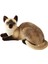 Cat Peluş Oyuncaklar Cilt Dostu Çocuklar Için Güzel Sevgililer Kız Arkadaşı 25CM (Yurt Dışından) 2