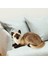 Cat Peluş Oyuncaklar Cilt Dostu Çocuklar Için Güzel Sevgililer Kız Arkadaşı 25CM (Yurt Dışından) 4