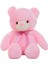 Teddy Oyuncak Çocuk Çocuk Oyuncakları Hediyeler (Yurt Dışından) 1