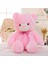 Teddy Oyuncak Çocuk Çocuk Oyuncakları Hediyeler (Yurt Dışından) 2