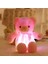 Teddy Oyuncak Çocuk Çocuk Oyuncakları Hediyeler (Yurt Dışından) 4