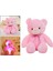 Teddy Oyuncak Çocuk Çocuk Oyuncakları Hediyeler (Yurt Dışından) 5