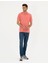 Erkek Pembe Regular Fit Basic Tişört 50280753-VR186 4