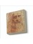Otoportre Leonardo Da Vinci, 1512 Baskılı Doğaltaş MAGNETKRG-142BUZDOLABI Süsü 1