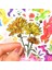 Çiçek Karikatür Çıkartmalar Güzel Bitki Yaratıcı Kawaii Grafiti Su Geçirmez Sticker Dıy Dizüstü Buzdolabı Bavul Gitar (Yurt Dışından) 4