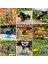 B1 Stili Çocuklar Oyuncak Mini Yapı Taşları Mikro Tuğlalar Kartal Geyik Köpek Kedi Kuş Hayvanlar 3D Model Çanta Hediyeler Çocuklar Için Eğitici Oyuncaklar (Yurt Dışından) 5