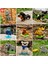 B34 Stili Çocuklar Oyuncak Mini Yapı Taşları Mikro Tuğlalar Kartal Geyik Köpek Kedi Kuş Hayvanlar 3D Model Çanta Hediyeler Çocuklar Için Eğitici Oyuncaklar (Yurt Dışından) 3