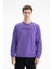 Erkek Tarz Yazı Baskılı Regular Fit Şardonsuz 3 İplik Bisiklet Yaka Sweatshirt K26124601601 1