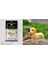 A11 Stili Wisehawk Elmas Mini Yapı Taşları Hayvan Oyuncak Çanta Yapı Taşları A1-B26 Çocuklar Için Köpek Kedi Kuş Hayvan Serisi Hediyeler (Yurt Dışından) 3