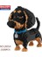 16042 Kutu Stili ile Mini Bloklar Karikatür Köpek Mini Balody Dachshund Modeli Blok Yapı Meclisi Brinquedos Tuğla Eğitici Oyuncak Çocuklar Için Hediyeler (Yurt Dışından) 3