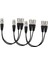 3x Yeni 3pin Xlr Kadın - Çift 2 Erkek Fiş Y Splıtter Kablo Adaptörü 1 Ft Kablo (Yurt Dışından) 1