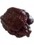 Moruga Akrebi Biber Kurutulmuş Biberin Kendisini Gönderiyoruz +1 Adet ( Trinidad Moruga Scorpion ) 1