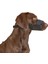 Köpek Ağızlığı Muzzle Nylon 20 – 26 cm 5