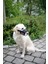 Köpek Ağızlığı Muzzle Nylon 18 – 24 cm 4
