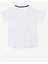 Shark Island Erkek Çocuk T-shirt Şort Takım 4