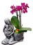 Statue Grey Serisi Phalaenopsis Orkide & Anne Çoçuk Saksıda Orkide Çiçeği Anneye Canlı Bitki 1