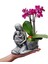 Statue Grey Serisi Phalaenopsis Orkide & Anne Çoçuk Saksıda Orkide Çiçeği Anneye Canlı Bitki 2