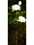 Güneş Zemin Lotus Lambası Bahçe Dekoratif Lamba Açık Su Geçirmez Güneş Lambası (Yurt Dışından) 1