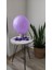 Pastel Mor Balon 10LU 1