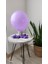 Pastel Mor Balon 10LU 2