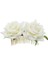 Pembe Whitered Rose Çiçek Saç Tarakları Düğün Gelin Moda Takı Kadınlar Balo Başlığı Charm Saç Aksesuarları Saç Dudakları (Yurt Dışından) 2