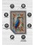 Nuh'un Gemisi Koleksiyonu Yalıçapkını Temalı Çiçek Desenli Vintage Çok Renkli Konsept Halı 4