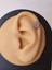 Lotus Çiçek Modeltragus Helix Piercing Ear Cuff Kıkırdak Çelik Küpe 2