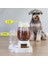 Pet Köpek Kedi Kase Çeşmesi Otomatik Su Gıda Besleyici Dispenser Konteyner Kedi Köpekler Içme Yeme Ürünleri Malzemeleri | Kedi Besleme ve Amp;sulama Malzemeleri (Yurt Dışından) 3