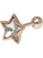 Rose Yıldız Tragus Gümüş Küpe NUR-KP02011 1